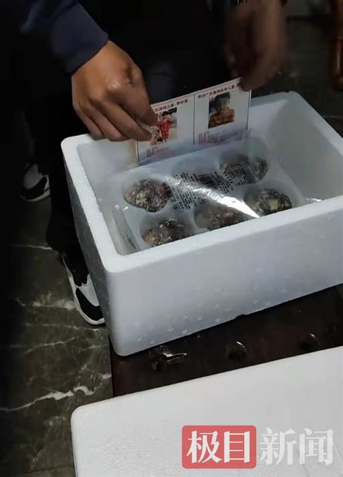 孫海洋跨界餐飲 以包子為媒，將尋親信息送入千家萬戶